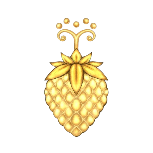 Comprar BUDDHA BUDDHA NO MI - Up XP